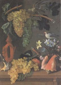 Juan de  Espinosa Still Life with Grapes (san 05) oil painting image